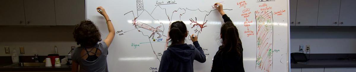 2019 YWSI Whiteboard Scene