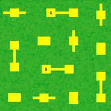 Simulation of isolated patchs in a forest